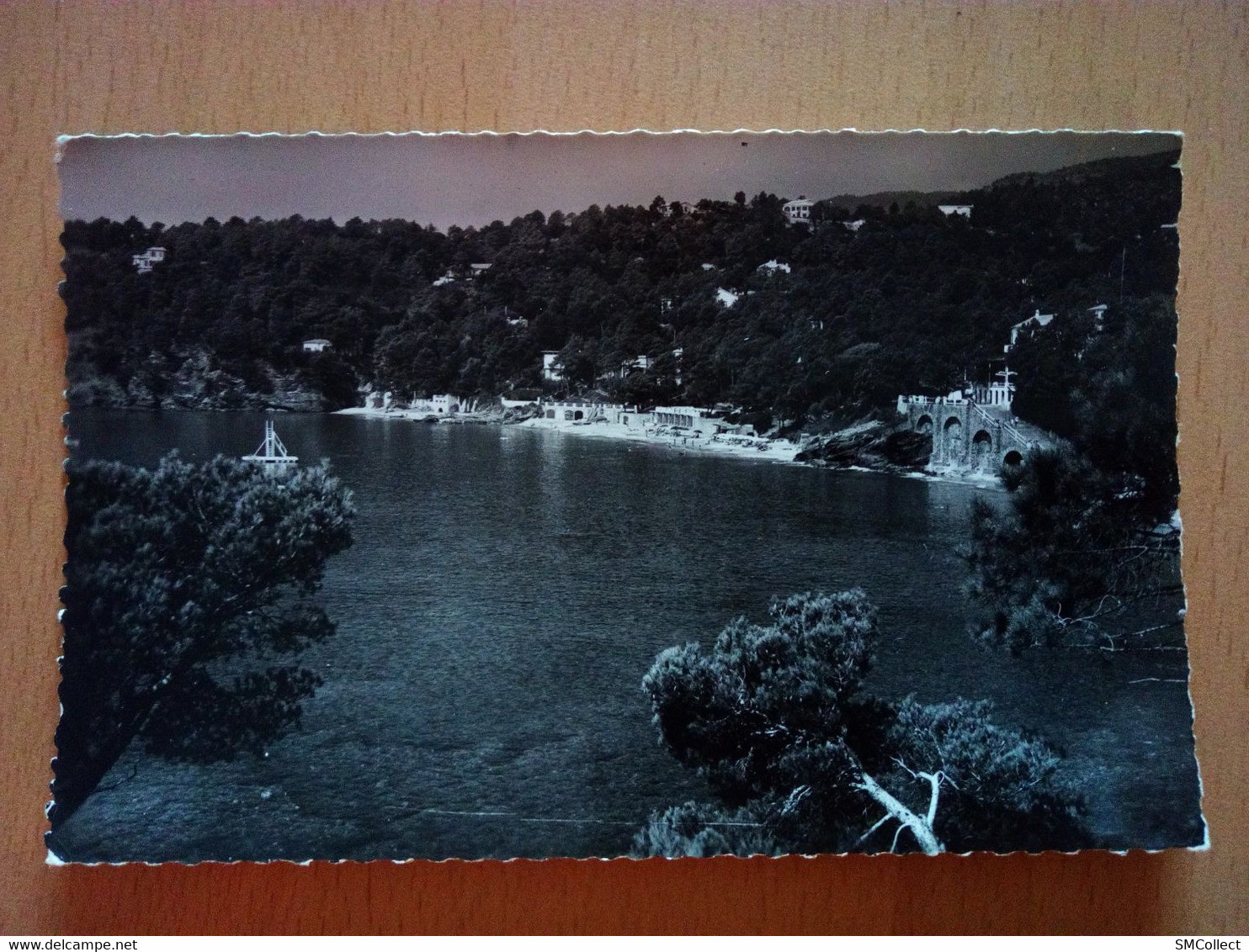 Le Rayol, Vue Générale De La Plage (10788) - Rayol-Canadel-sur-Mer