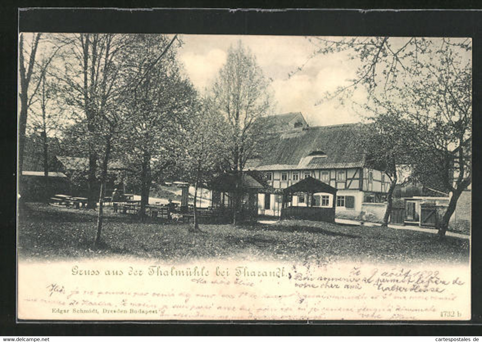 AK Tharandt, Blick Auf Die Thalmühle - Tharandt