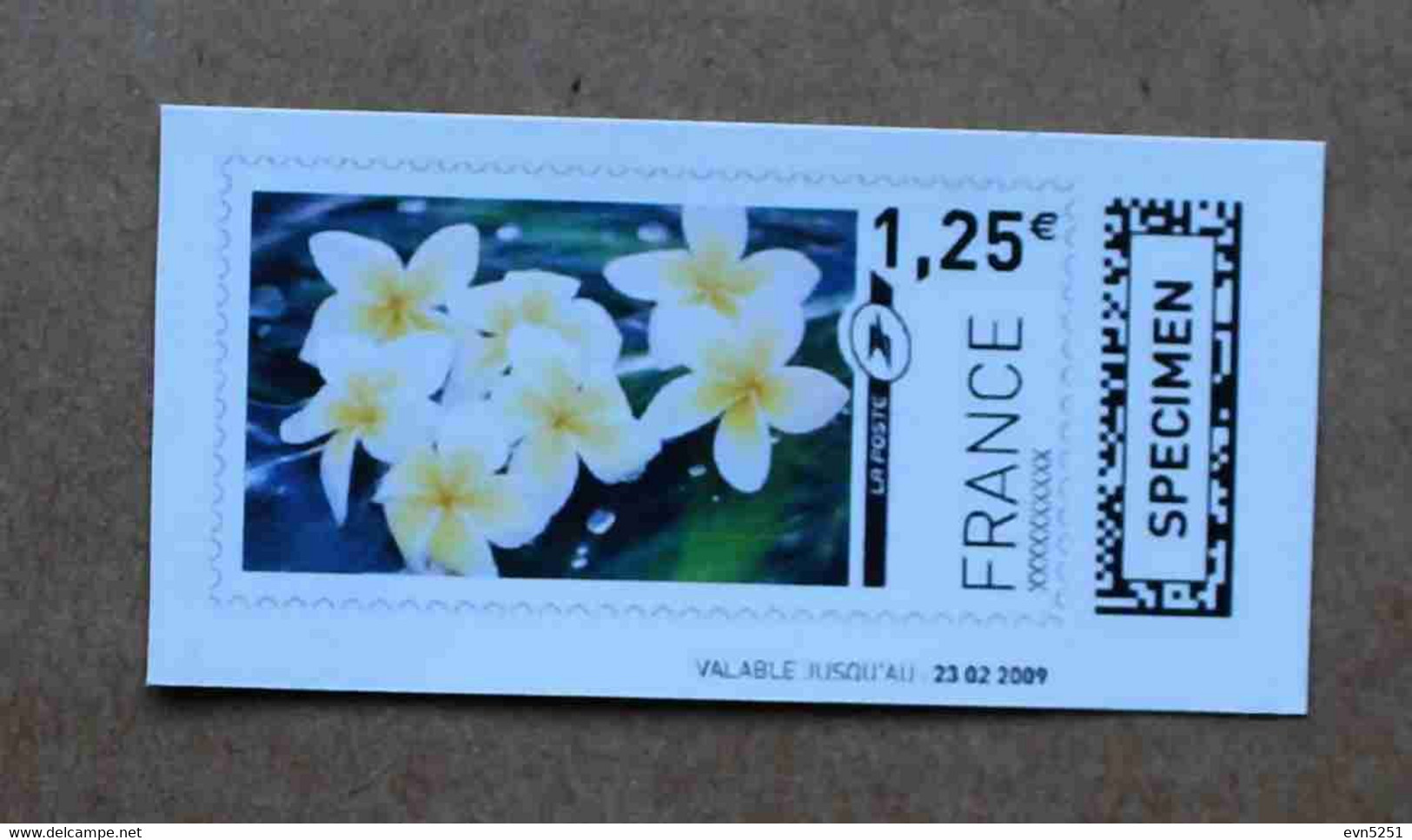 Ti02-01 :  SPECIMEN - Fleurs, Cadeau 1.25 €  +  1.30 € (autoadhésifs / Autocollants) - Specimen