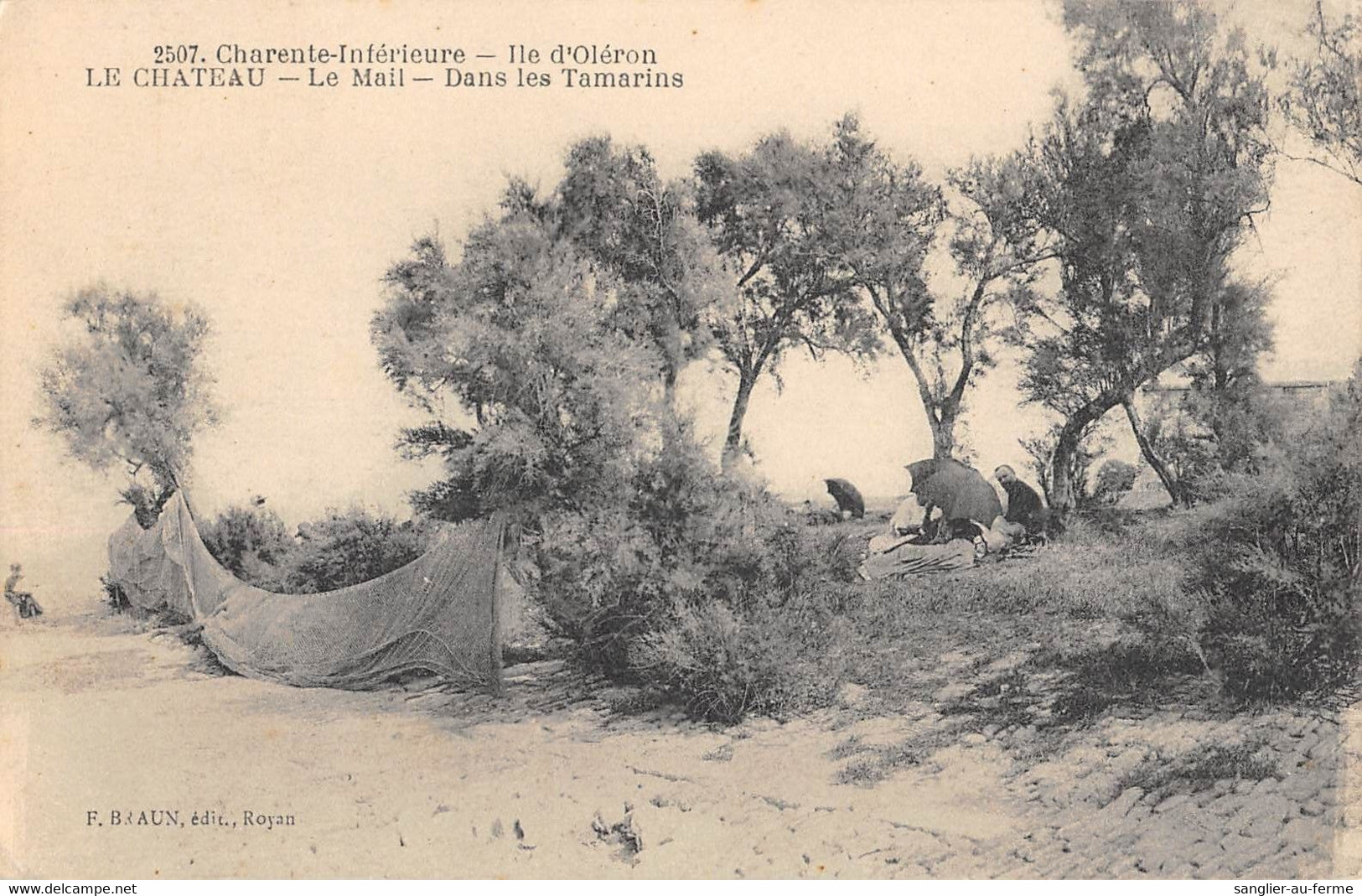 CPA 17 ILE D'OLERON LE CHATEAU LE MAIL DANS LES TAMARINS - Ile D'Oléron