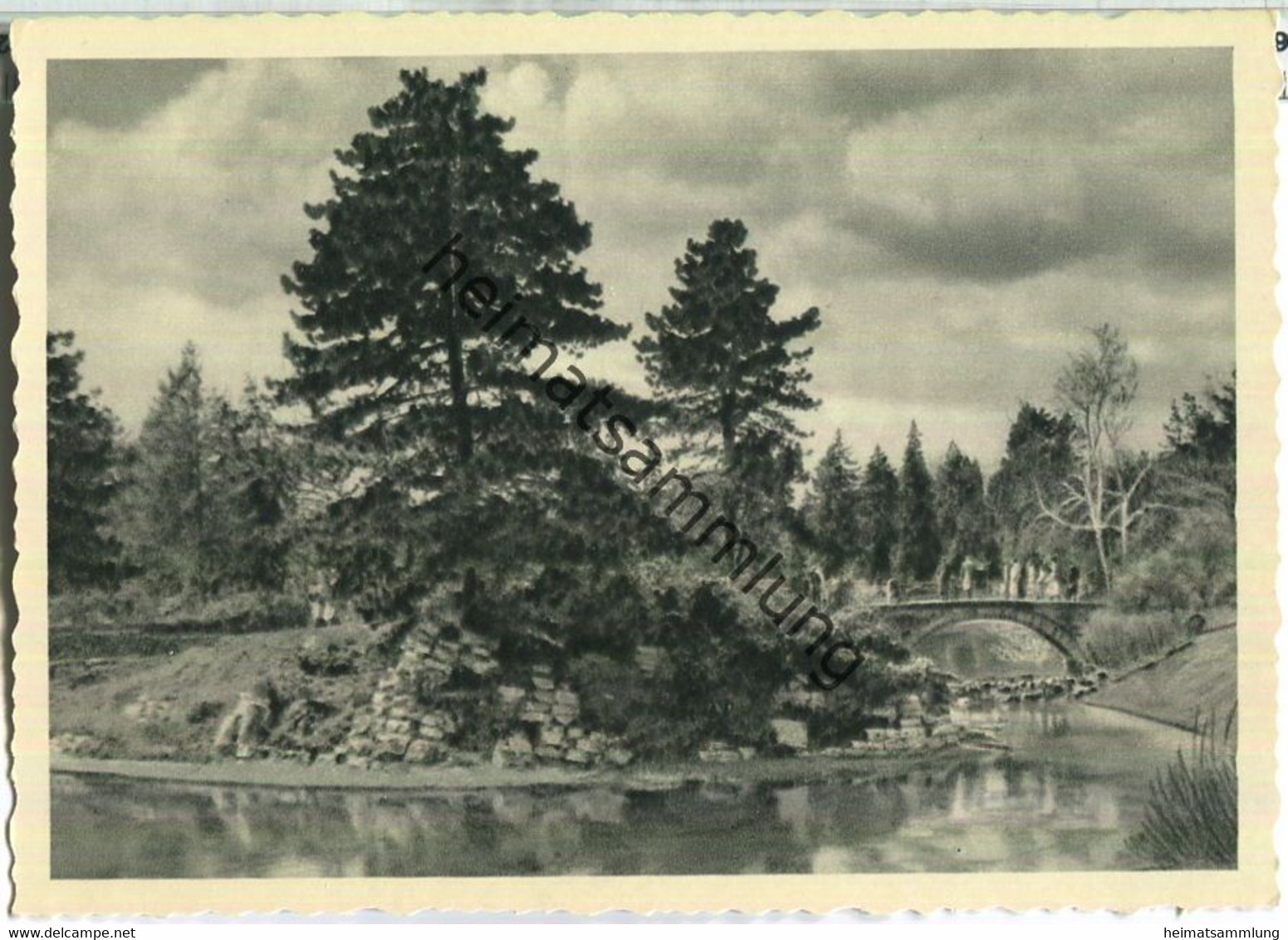 Berlin - Im Botanischen Garten - Verlag Ludwig Simon München 50er Jahre - Dahlem