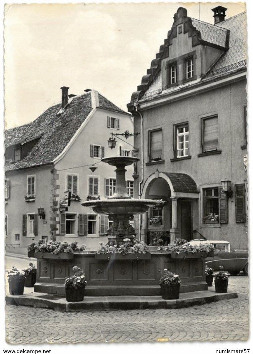 CPSM DEIDESHEIM An Der Weinestrasse - Andreasbrunnen - Deidesheim