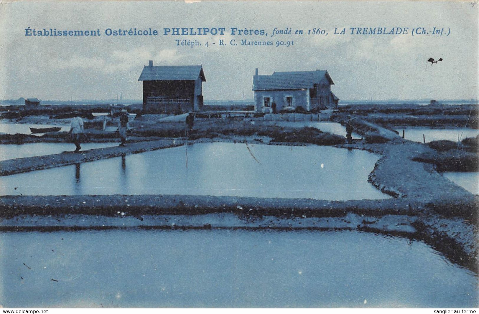 CPA 17 LA TREMBLADE ETABLISSEMENT OSTREICOLES PHELIPOT FRERES - La Tremblade