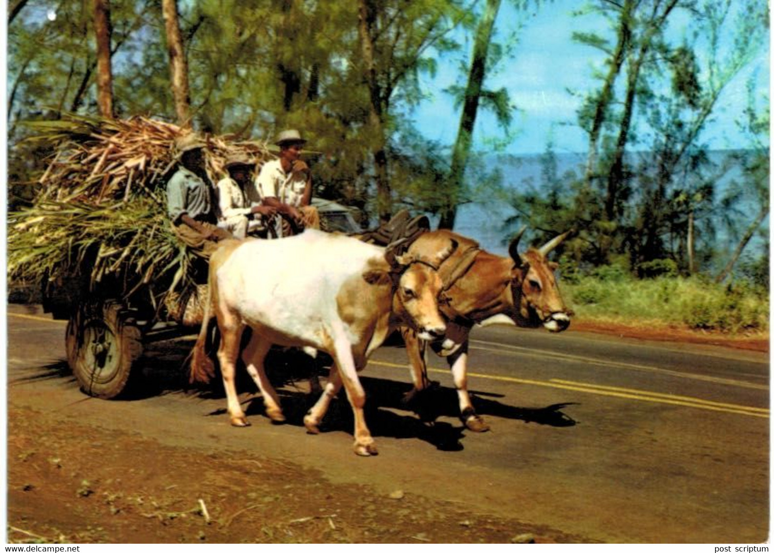 Lot   - Afrique  (essentiellement Afrique du Nord - Réunion) -  environ  250 cartes