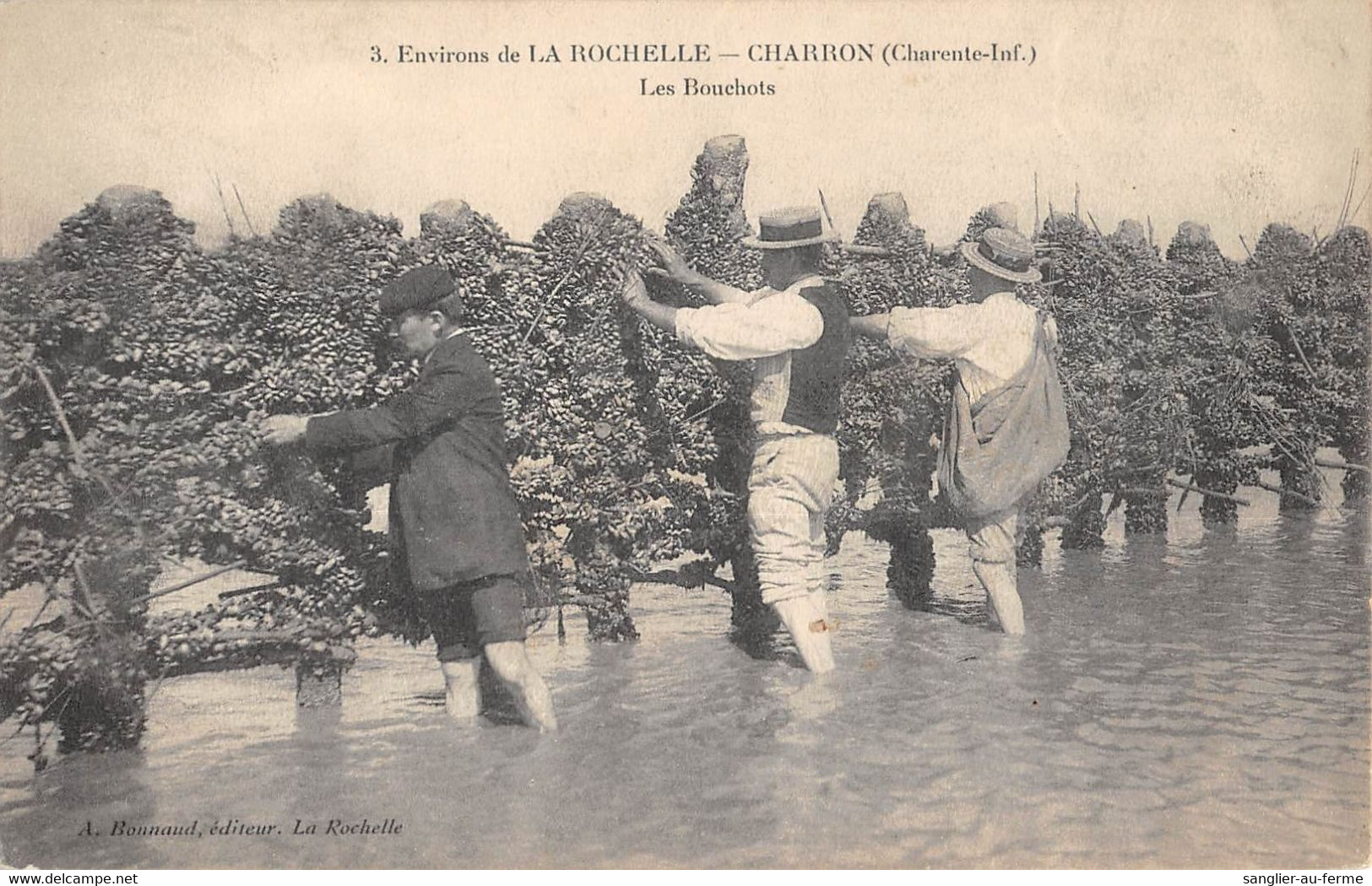 CPA 17 ENVIRONS DE LA ROCHELLE CHARRON LES BOUCHOTS - Other & Unclassified