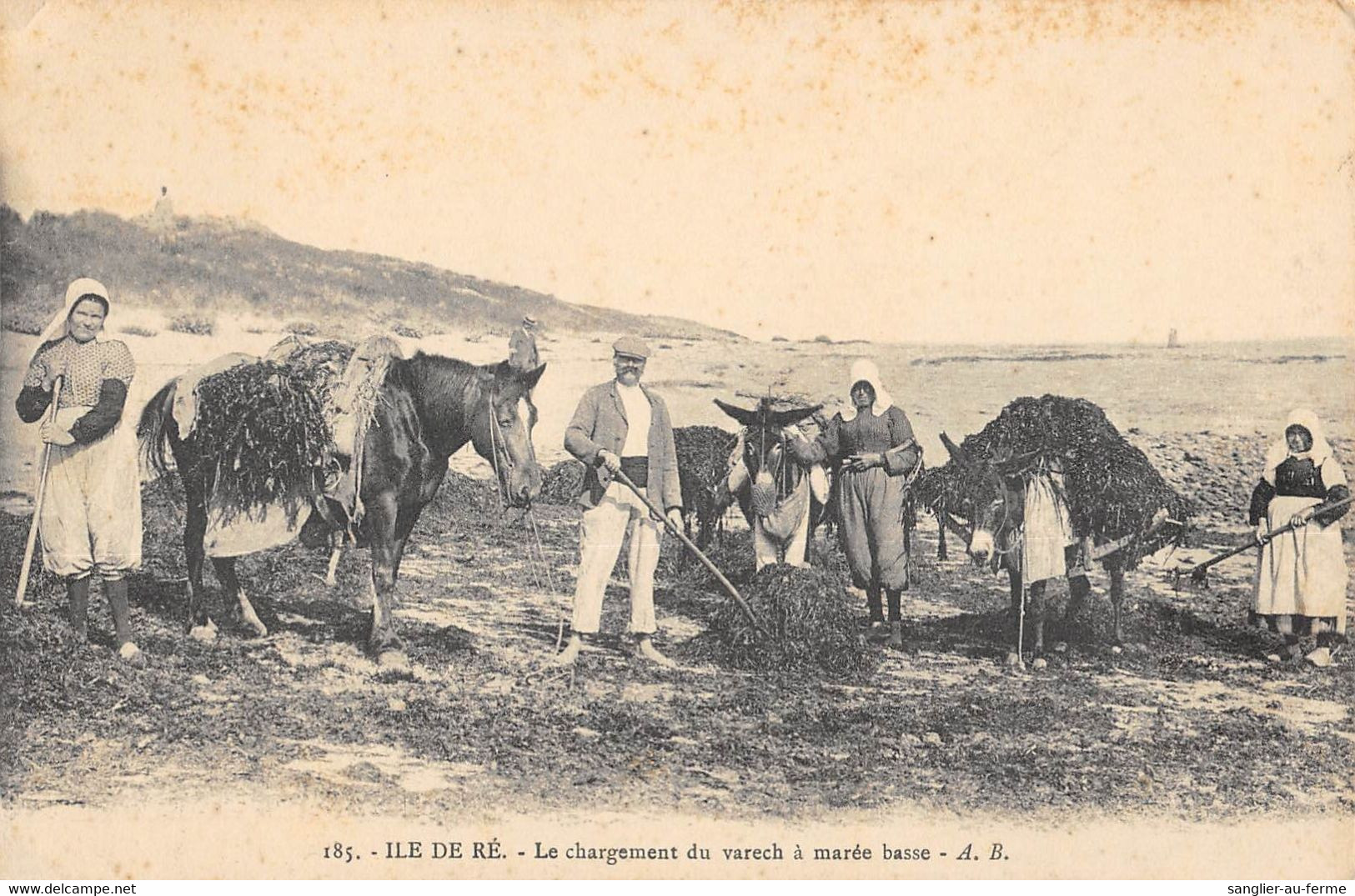 CPA 17 ILE DE RE CHARGEMENT DU VARECH A MAREE BASSE - Ile De Ré