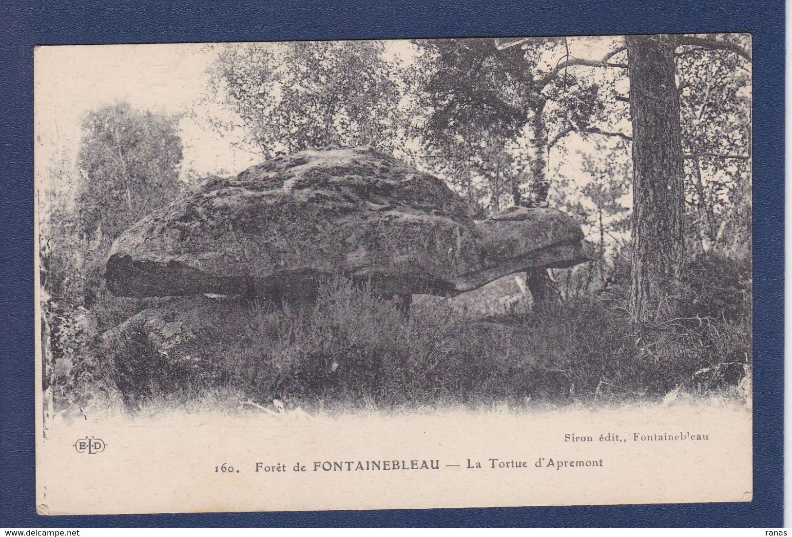 CPA Tortue Turtle écrite Fontainebleau - Tortugas