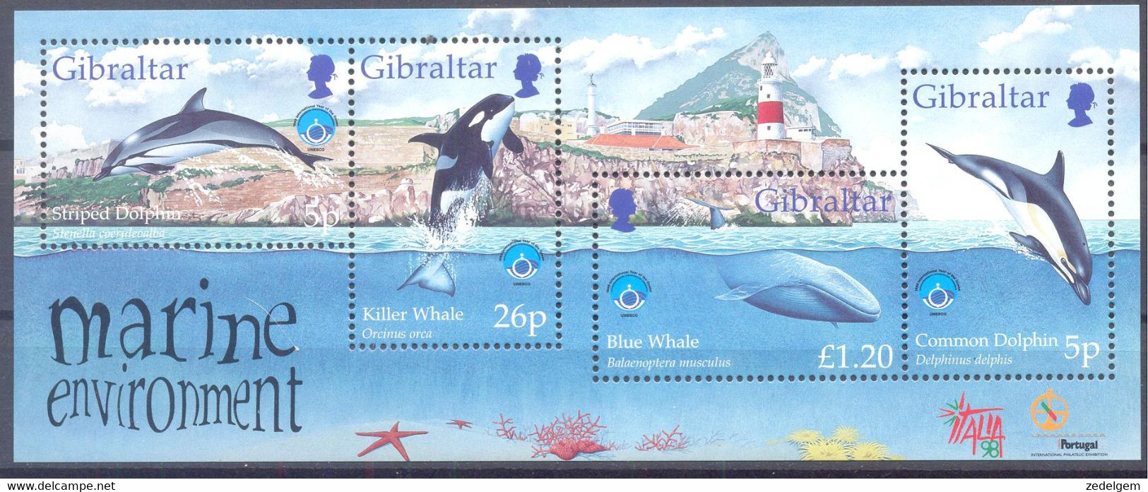 GIBRALTAR (WER4418) - Gibraltar