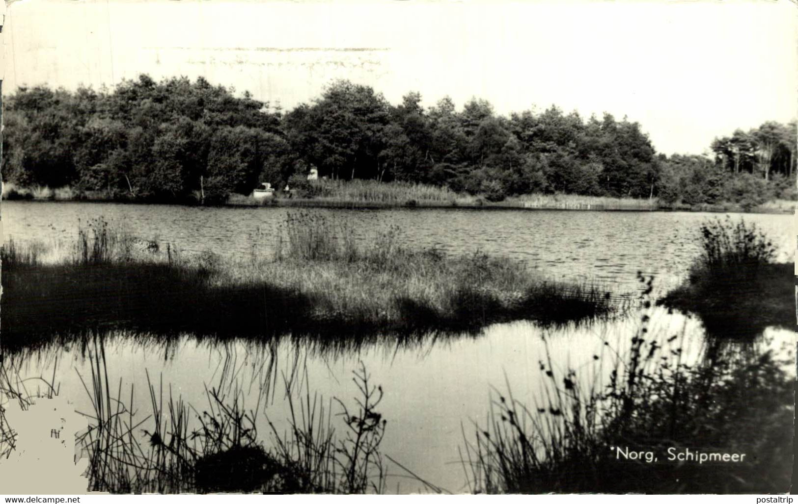 NORD Schipmeer  DRENTHE HOLLAND HOLANDA NETHERLANDS - Norg