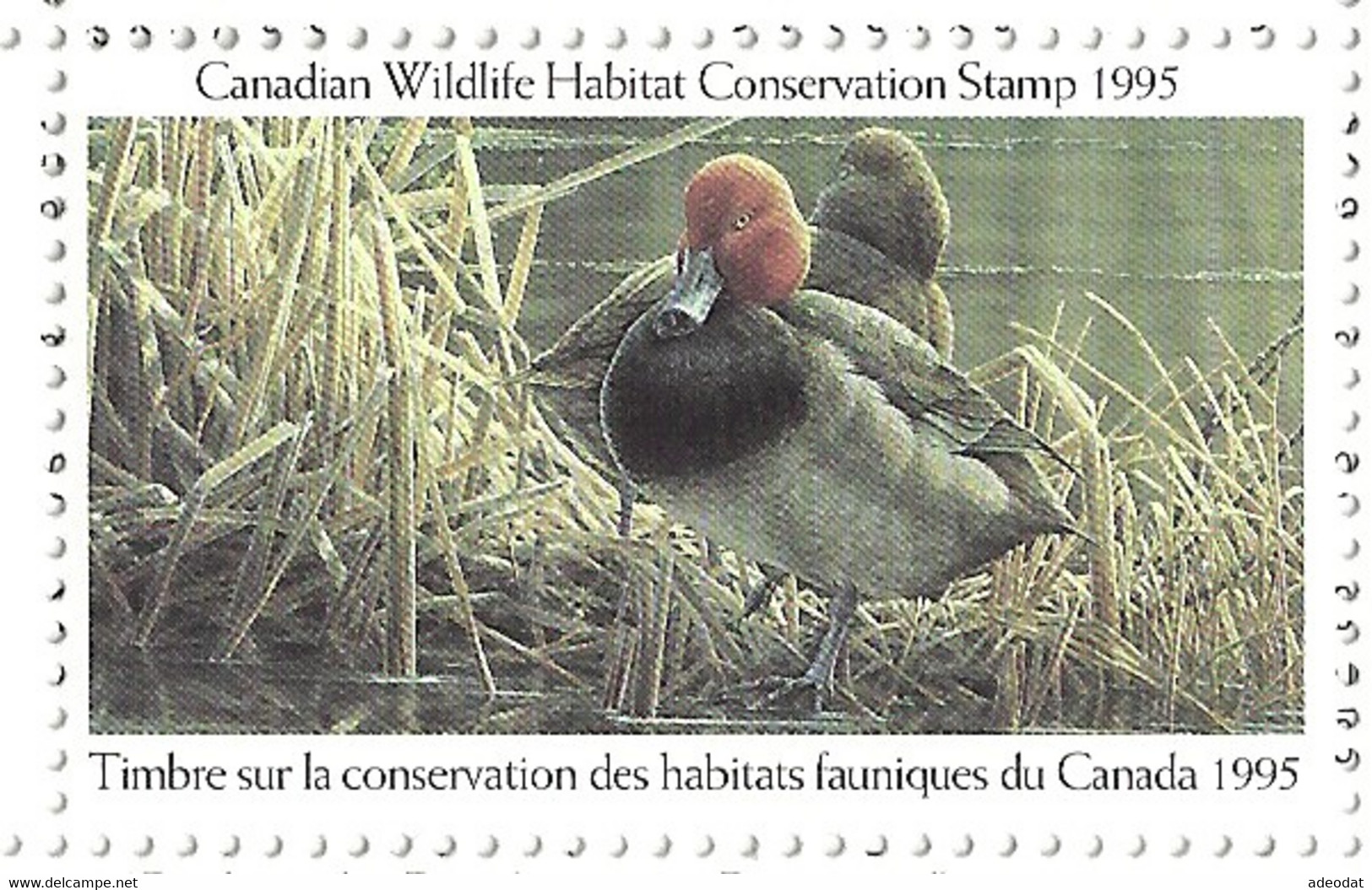 1995 WILDLIFE HABITAT CONSERVATION STAMP MNH WITH BOOKLET - Other & Unclassified