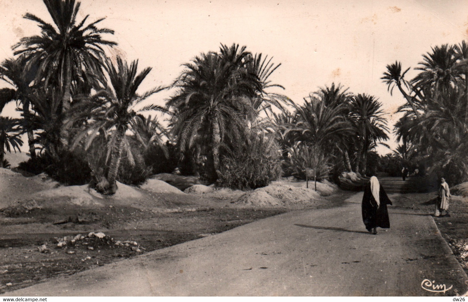 Gafsa (Tunisie) Dans La Palmeraie En 1954 - Edition Combier - Carte CIM - Tunisia