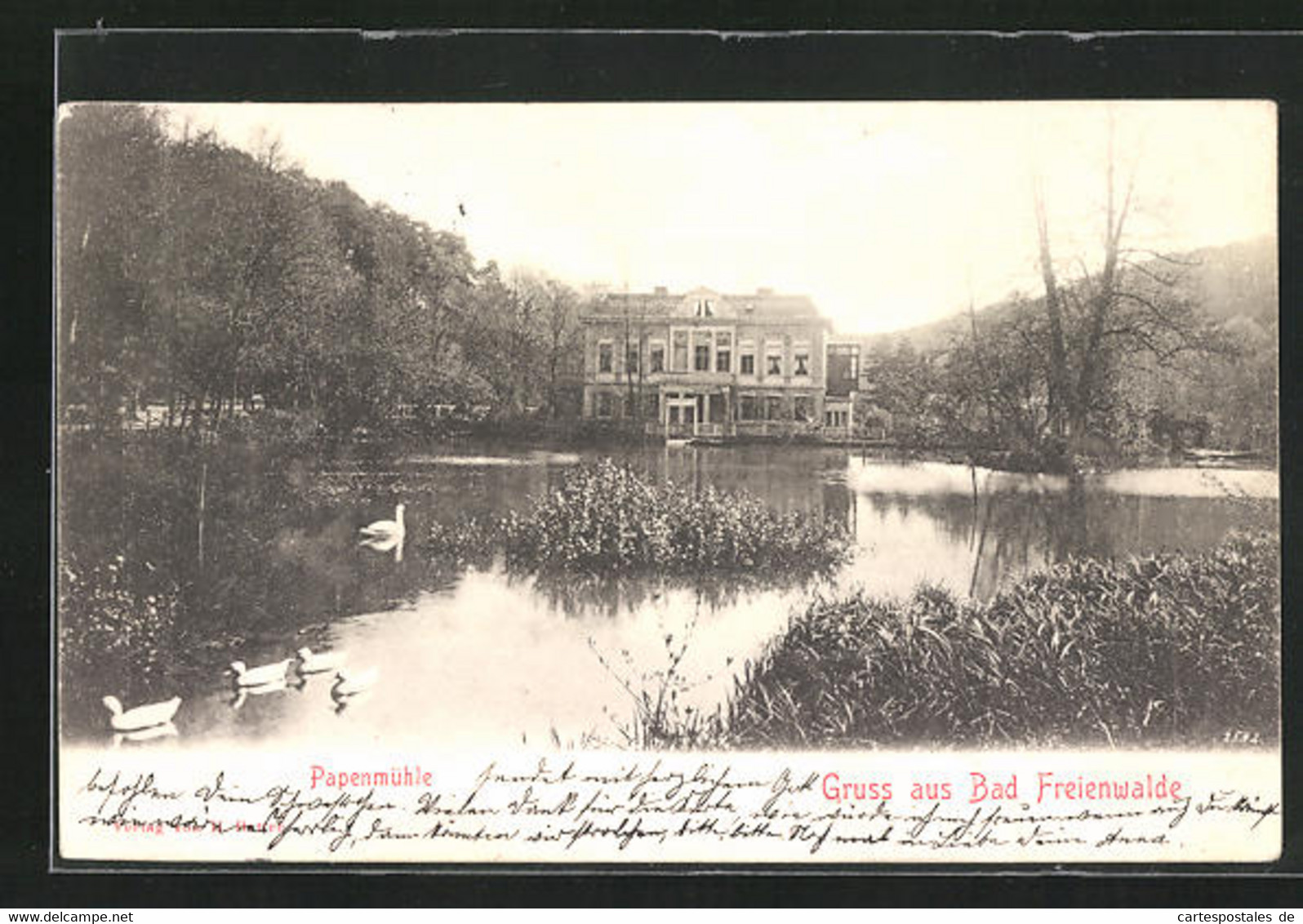 AK Bad Freienwalde, Papenmühle Mit Enten - Bad Freienwalde