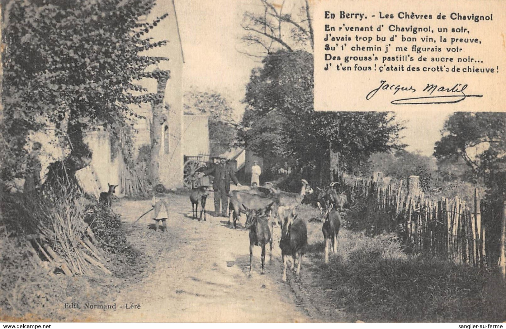 CPA 18 EN BERRY LES CHEVRES DE CHAVIGNOL - Autres & Non Classés