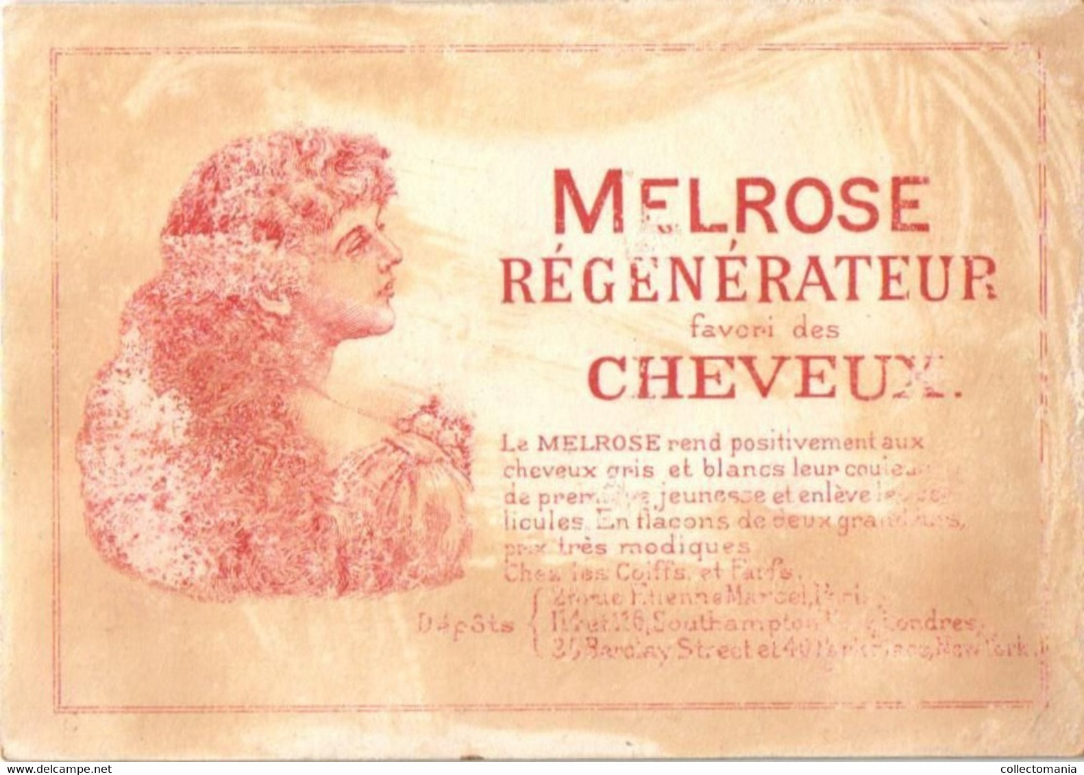 6 Cards MELROSE Régénérateur favori des Cheveux   Rue Etienne Marcel Paris Litho parfum haar - hair perfume