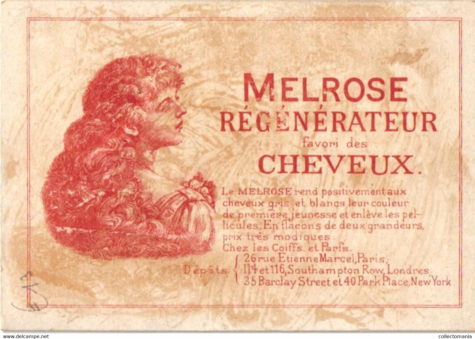 5 Cards MELROSE Régénérateur favori des Cheveux   Rue Etienne Marcel Paris Litho chromos parfum haar - hair perfume