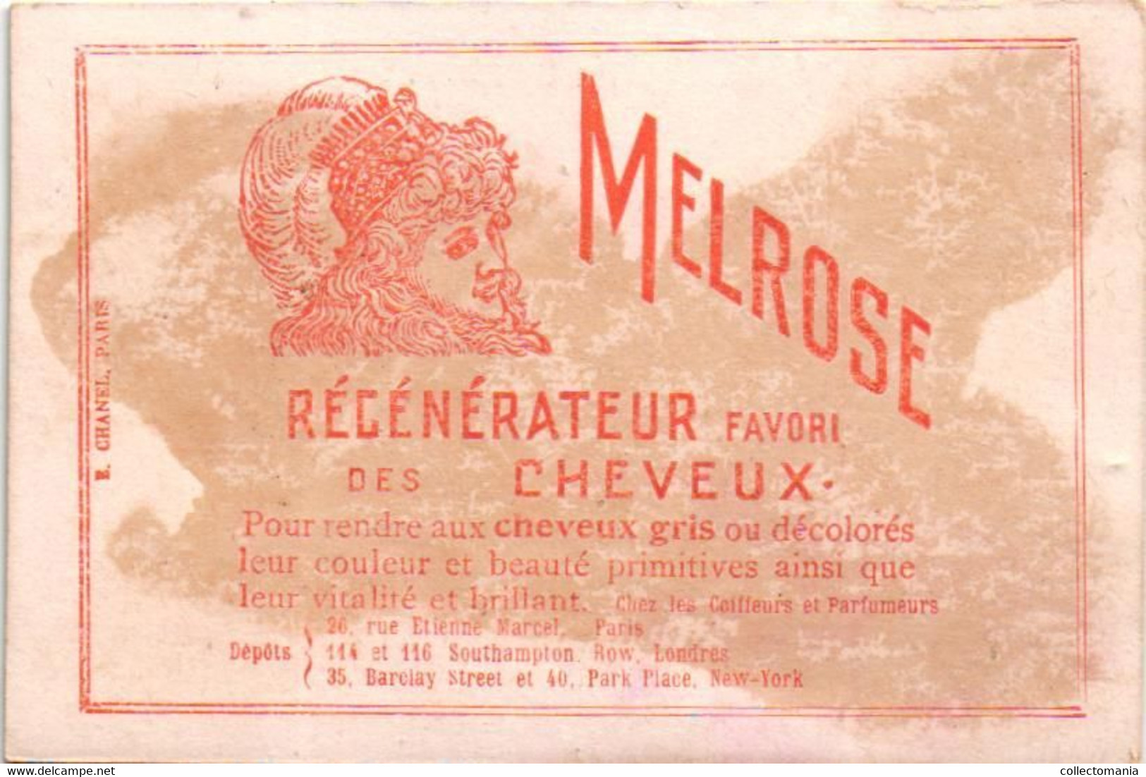 5 Cards MELROSE Régénérateur favori des Cheveux   Rue Etienne Marcel Paris Litho chromos parfum haar - hair perfume