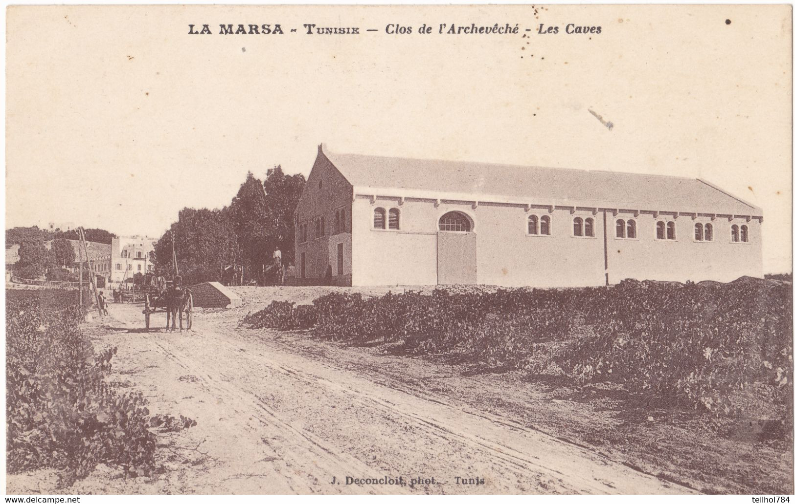 LA MARSA  CLOS DE  L ARCHEVECHE  LES CAVES - Tunisie