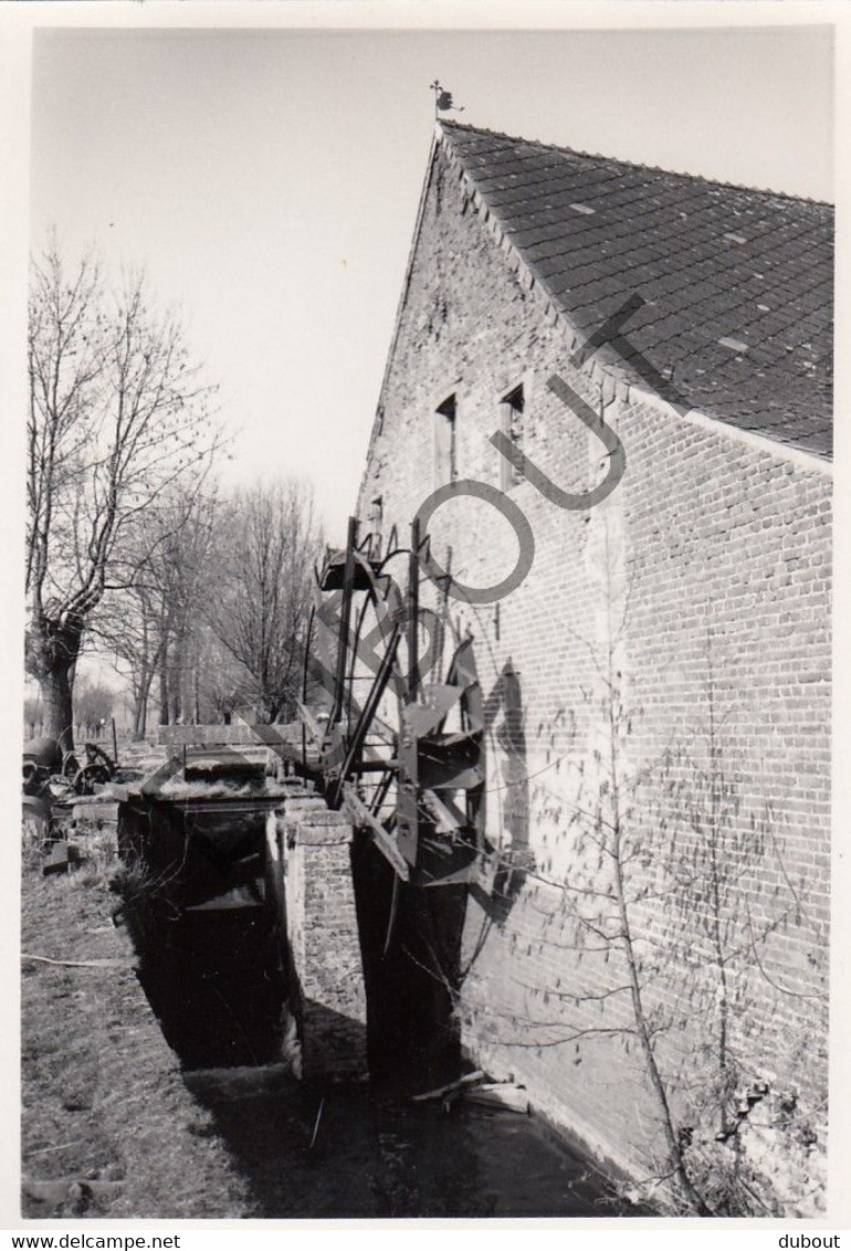 WODECQ - Molen / Moulin - Originele Foto Jaren '70 - Moulin Du Tordoir (Q250) - Ellezelles