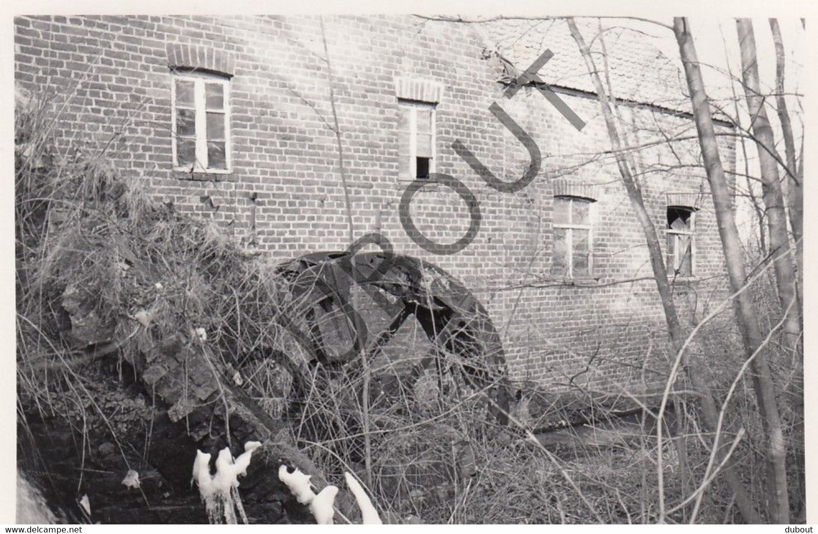 FLOBECQ - Molen / Moulin - Originele Foto Jaren '70 - Moulin Du Plada (Q238) - Flobecq - Vloesberg