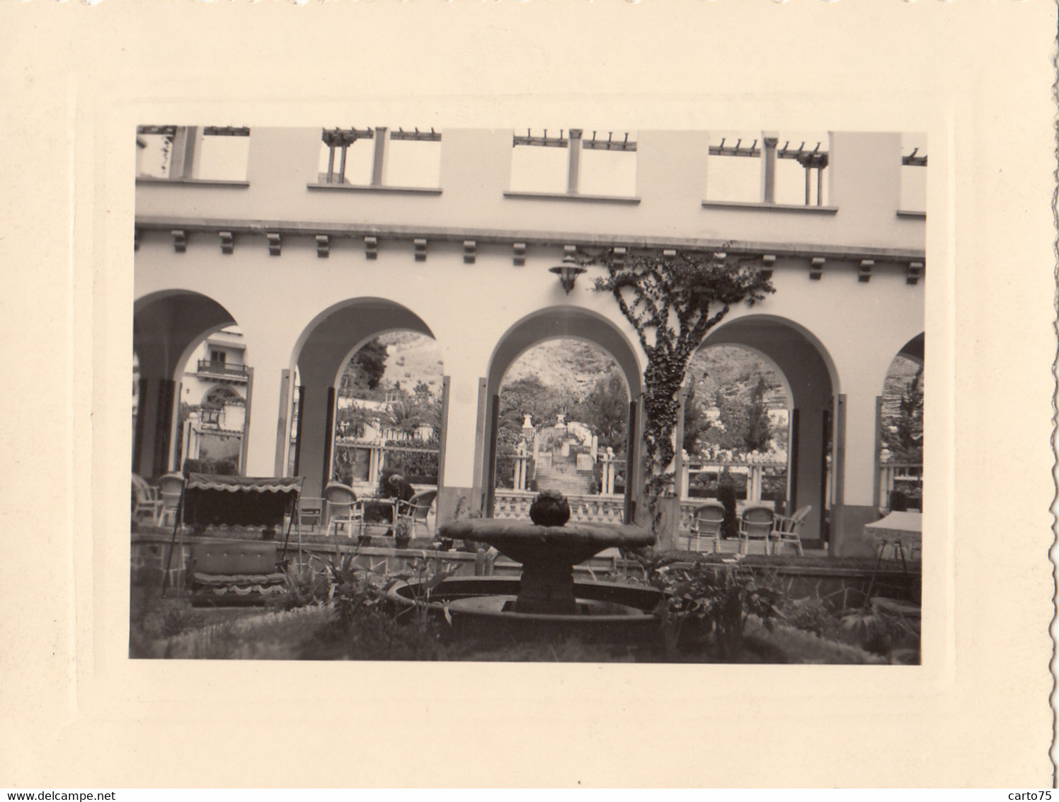 Photographie - Espagne -  Îles Canaries - Santa Cruz De Tenerife - Hôtel Mencey - Jardin Intérieur - Photographs