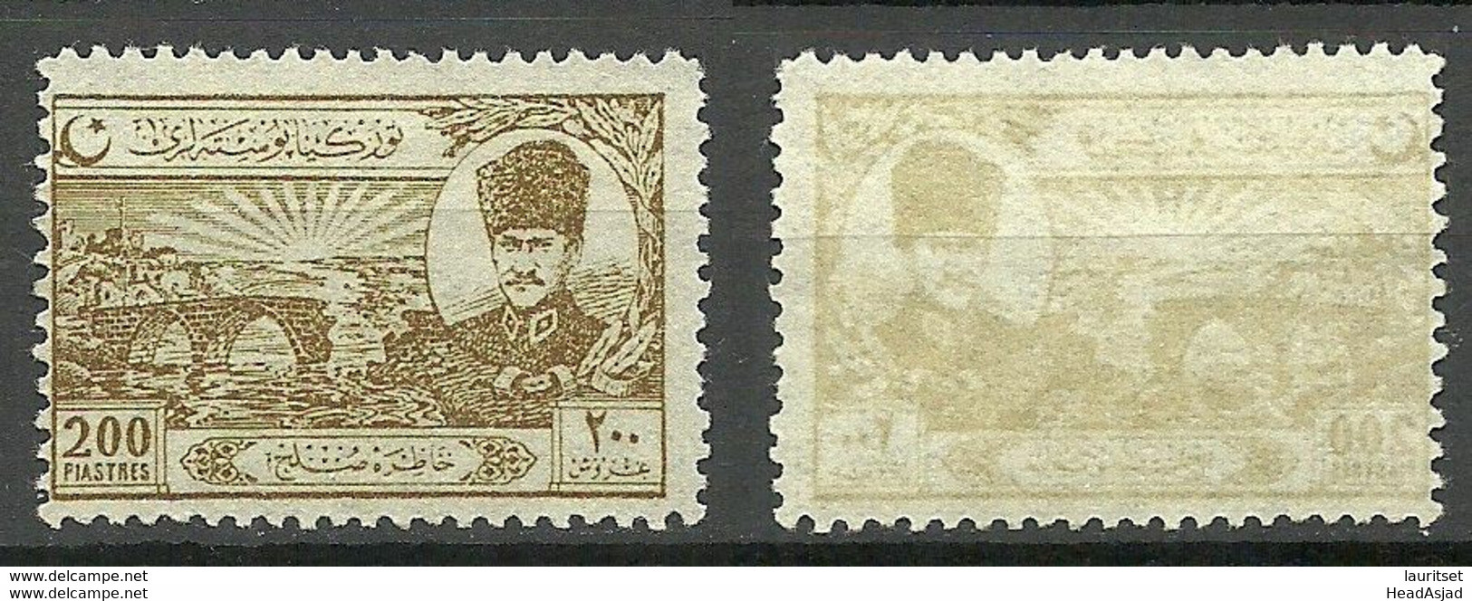 TÜRKEI Turkey 1924 Michel 806 (*) Variety Light Set Off - Nuevos