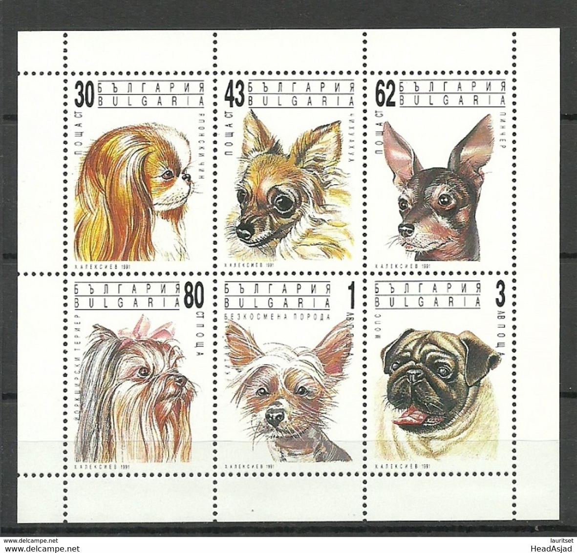 BULGARIEN BULGARIA 1991 Michel 3929 - 3934 Hunde Dogs Complete Sheet Kleinbogen MNH - Farm