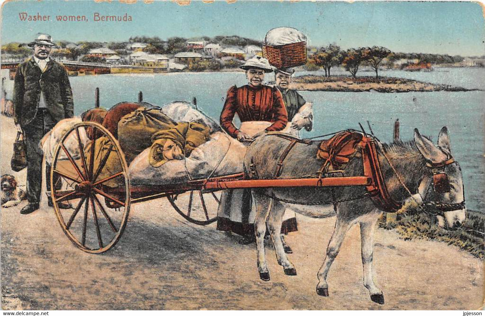 ANTILLES - BERMUDES - BERMUDA, WASHER WOMEN - METIER, LAVEUSES - ATTELAGE, ANE - Bermuda