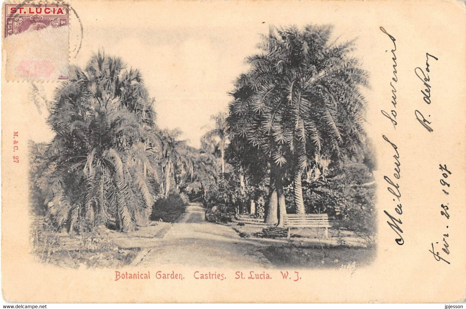 ANTILLES - SAINTE LUCIE - BOTANICAL GARDEN - CASTRIES, ST LUCIA - Sainte-Lucie