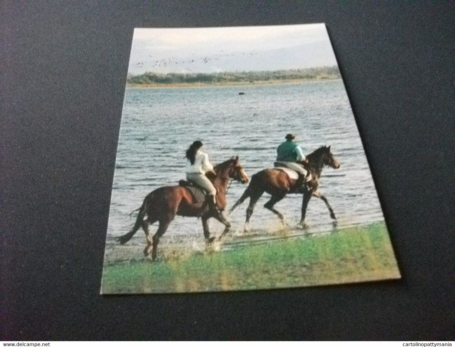 CAVALLO HORSE  CAVALIERI UCCELLI IN VOLO FENICOTTERI ROSA  CENTRO VACANZE ALA BIRDI  ARBOREA ORISTANO SARDEGNA - Pferde