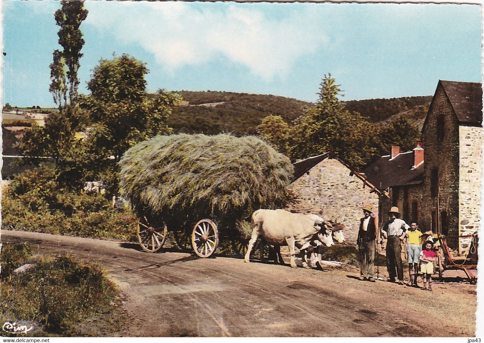 Le Morvan La Rentrée Des Foins Cpsm Gm - Culture