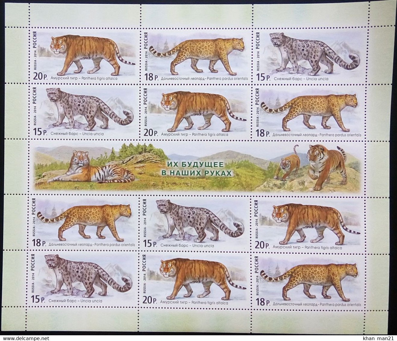 Russia, 2014, Mi. 2105-07, Sc. 7581, Cats Of Prey, Tiger, Leopard, Snow Leopard, Irbis, Panthera, MNH - Unused Stamps