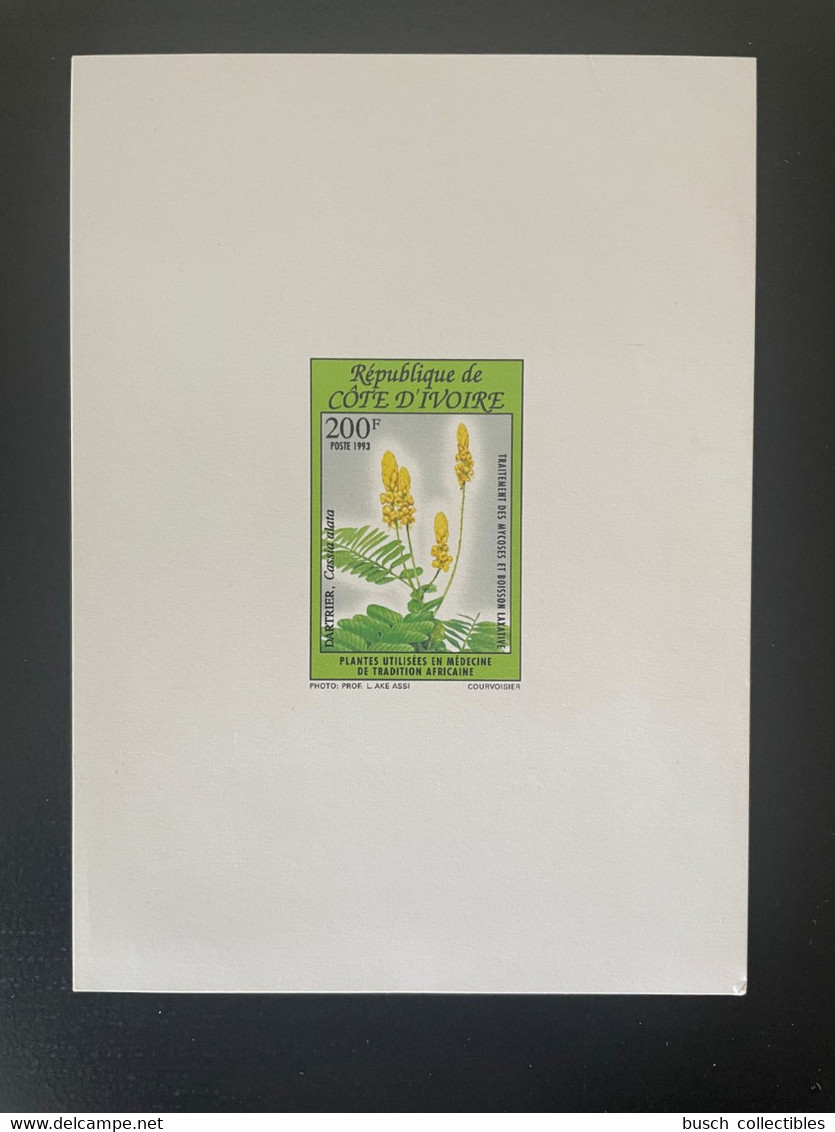 Côte D'Ivoire Ivory Coast 1993 Mi. 1094 Fleurs Flowers Blumen Plantes Médecine Tradition Epreuve De Luxe Proof - Ivory Coast (1960-...)