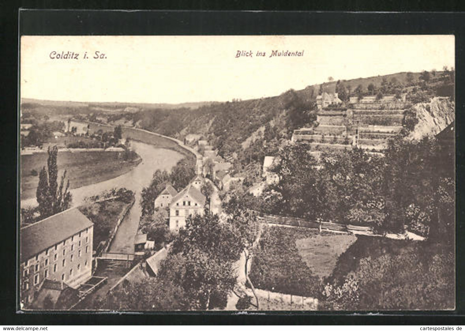 AK Colditz I. Sa., Blick Ins Muldental - Colditz