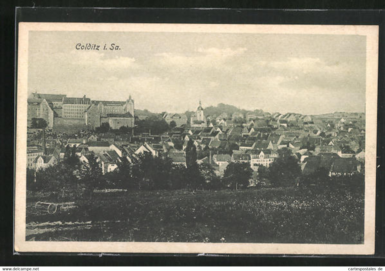 AK Colditz I. Sa., Panoramablick Von Der Bergwiese - Colditz