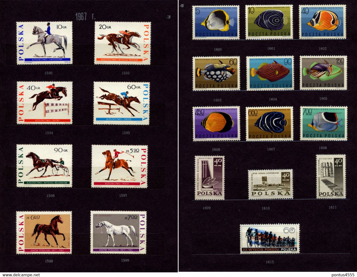 Poland Collection 1967 MNH - Full Years