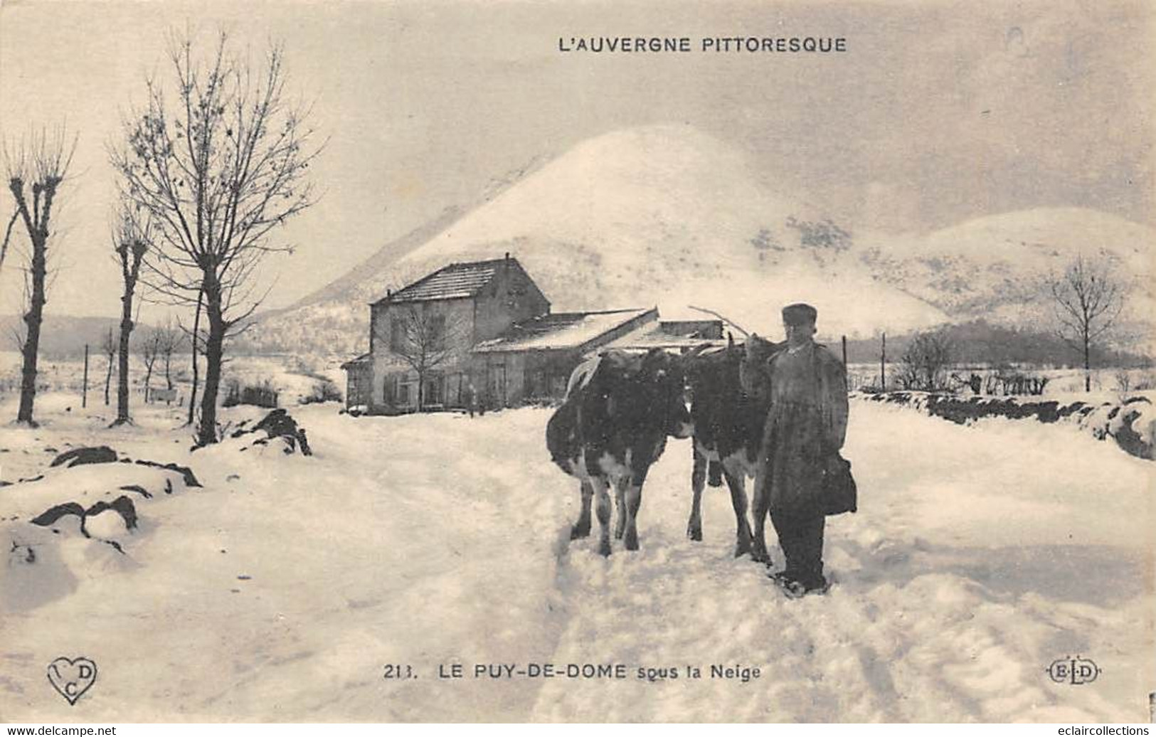 Puy De Dôme         63         Sous La Neige. Attelage De Bœufs  N°211    (voir Scan) - Sonstige & Ohne Zuordnung