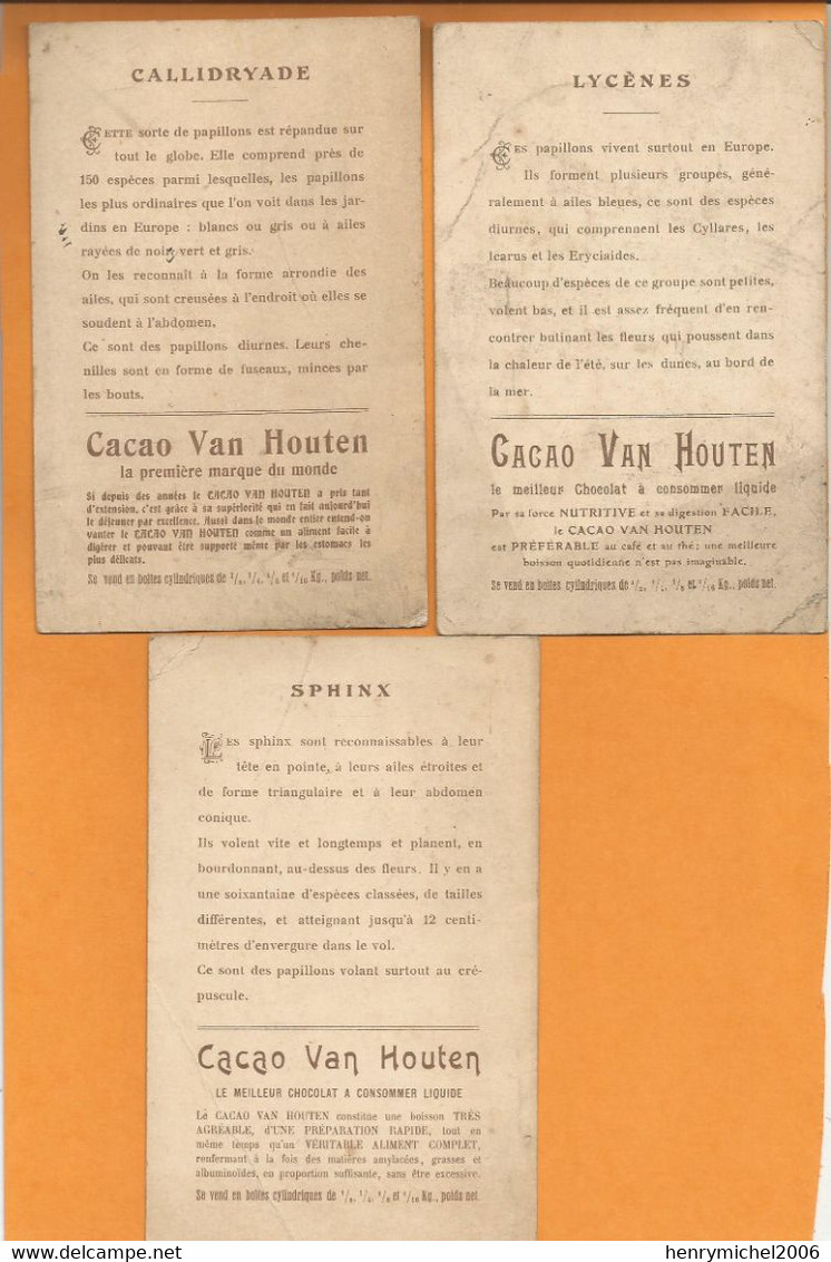 Chromos Lot 3 Images Chocolat Cacao Van Houtel Papillon Sphinx , Lycènes , Callidryade , Chromo 14,6x9,4 Cm Env - Van Houten