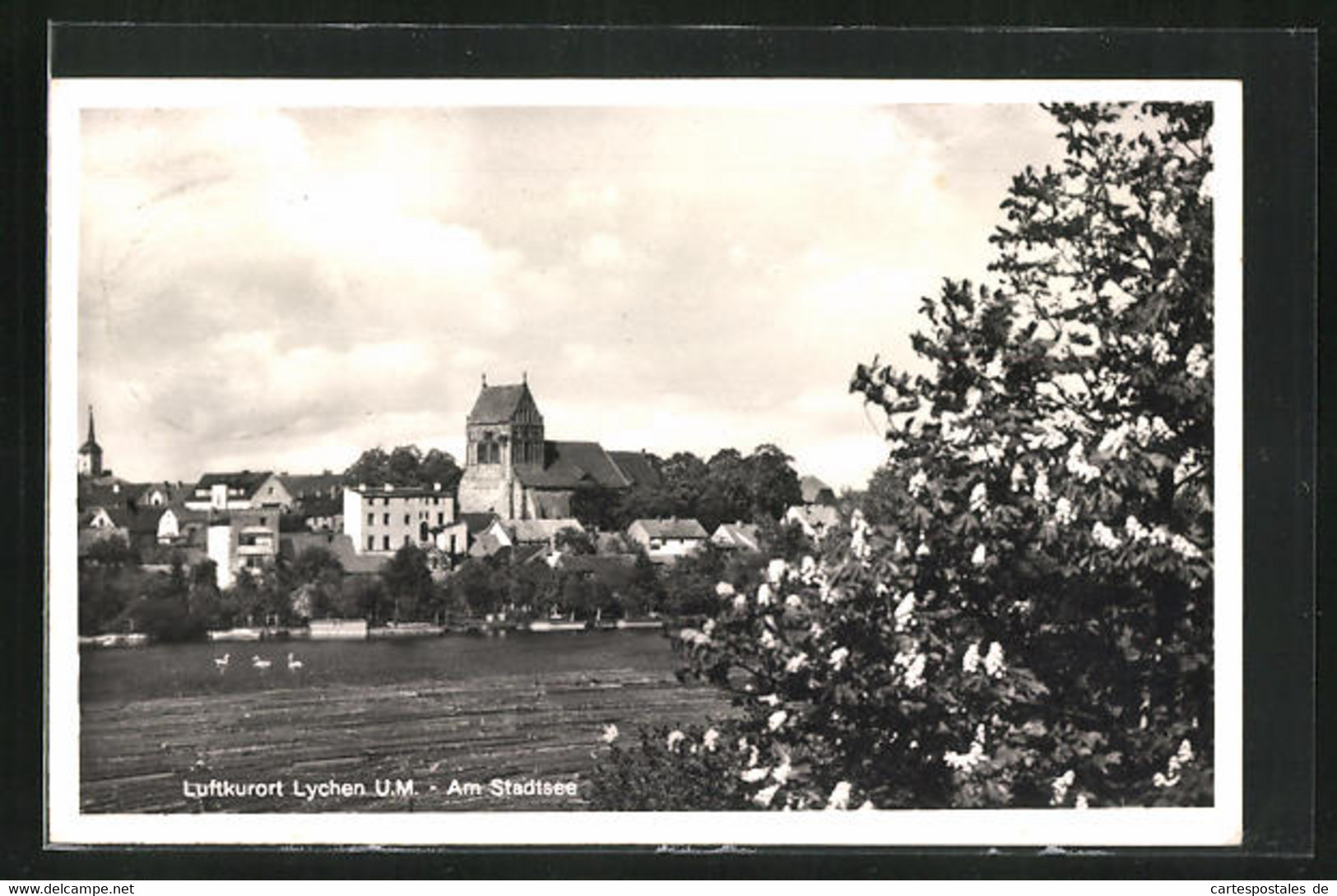 AK Lychen U. M., Blick Auf Den Stadtsee - Lychen