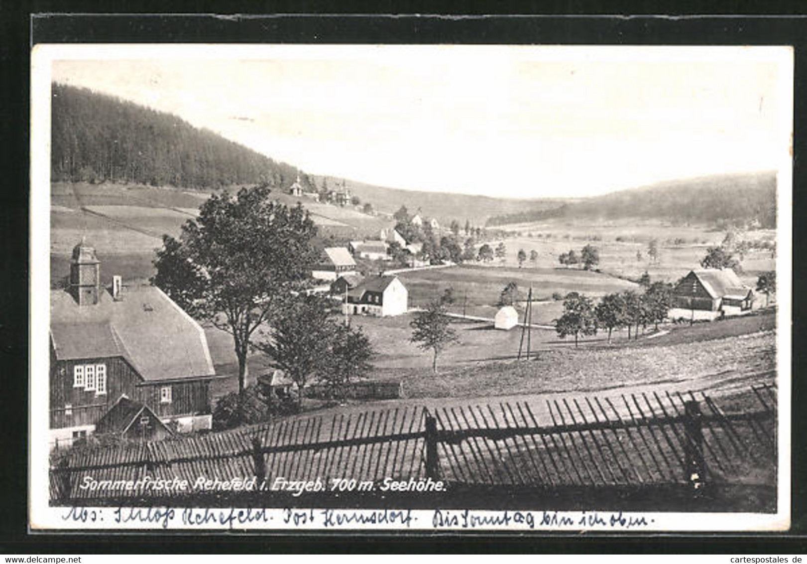 AK Rehefeld I. Erzgeb., Blick Auf Den Ort - Rehefeld