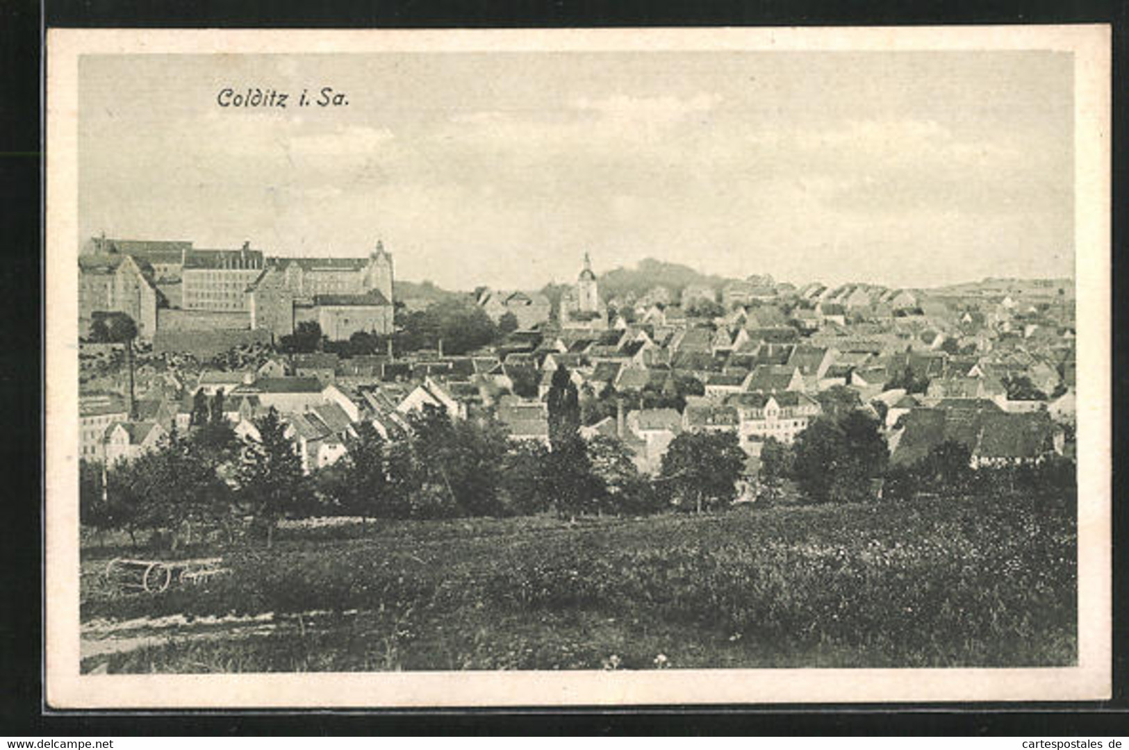 AK Colditz I. Sa., Blick Auf Die Stadt - Colditz