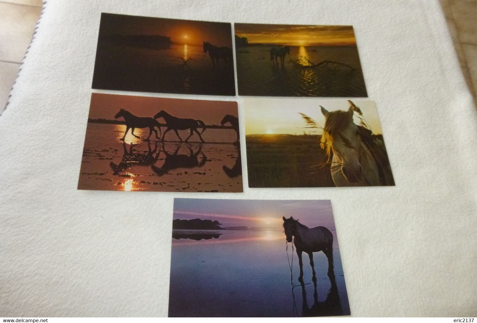 LOT DE 5 CARTES "CHEVAUX AU COUCHER DE SOLEIL".... - 5 - 99 Postcards