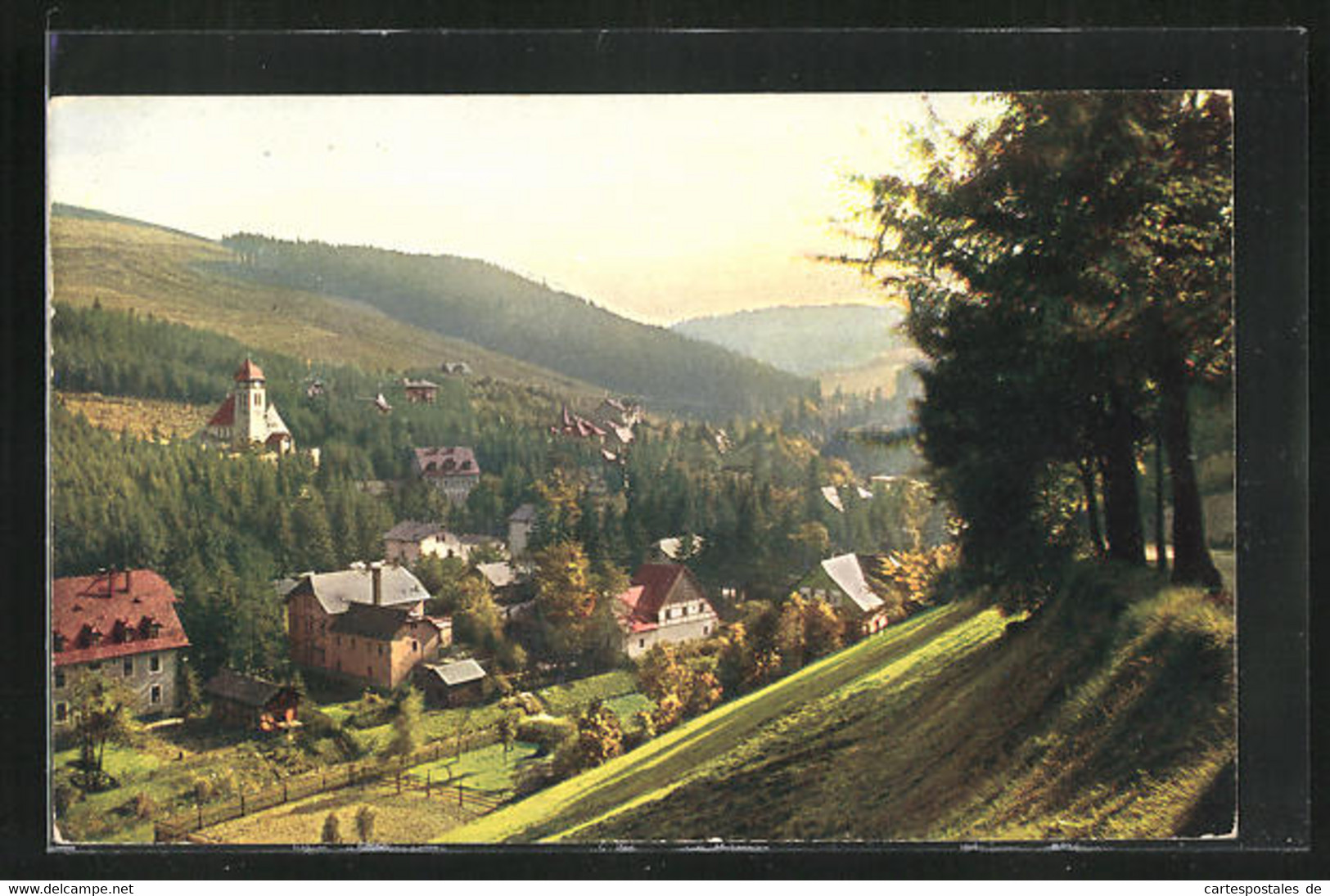 AK Kipsdorf I. Erzgeb., Panoramablick Auf Den Ort - Kipsdorf