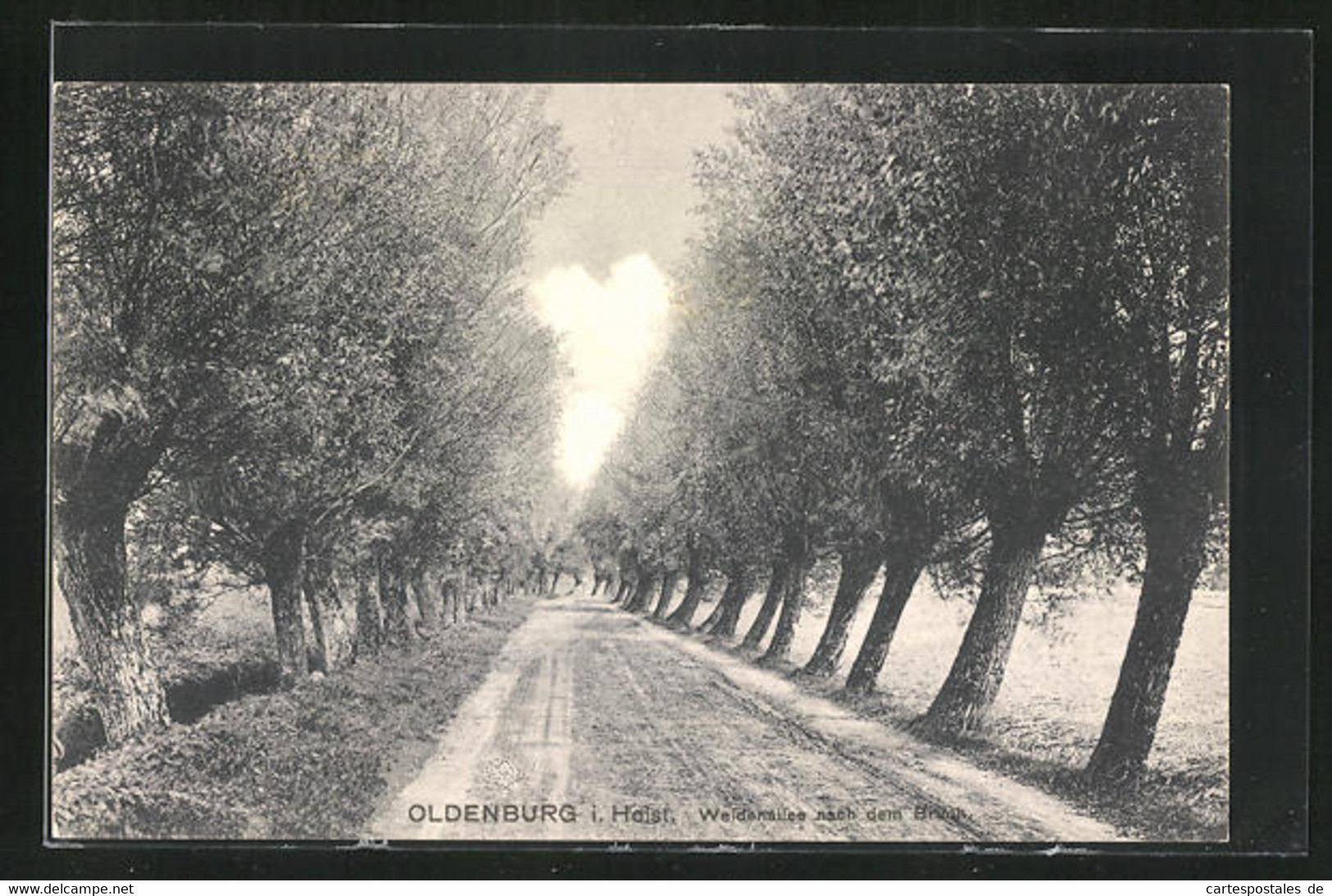 AK Oldenburg I. Holst., Weidenallee - Oldenburg (Holstein)