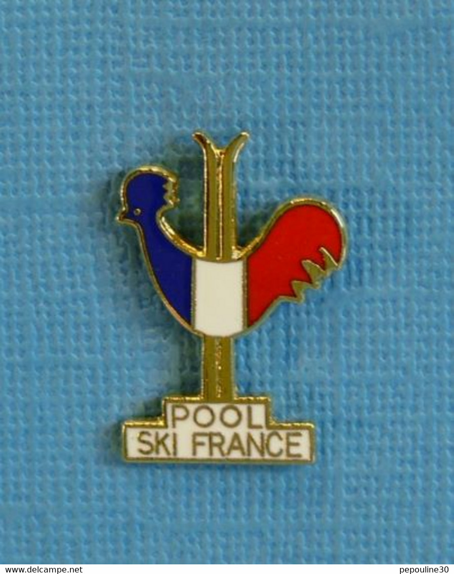 1 PIN'S //  ** POOL SKI FRANCE / PARTENAIRES DE LA F.F.S. ** - Sport Invernali