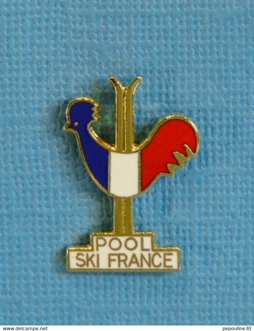 1 PIN'S //  ** POOL SKI FRANCE / PARTENAIRES DE LA F.F.S. ** - Sport Invernali