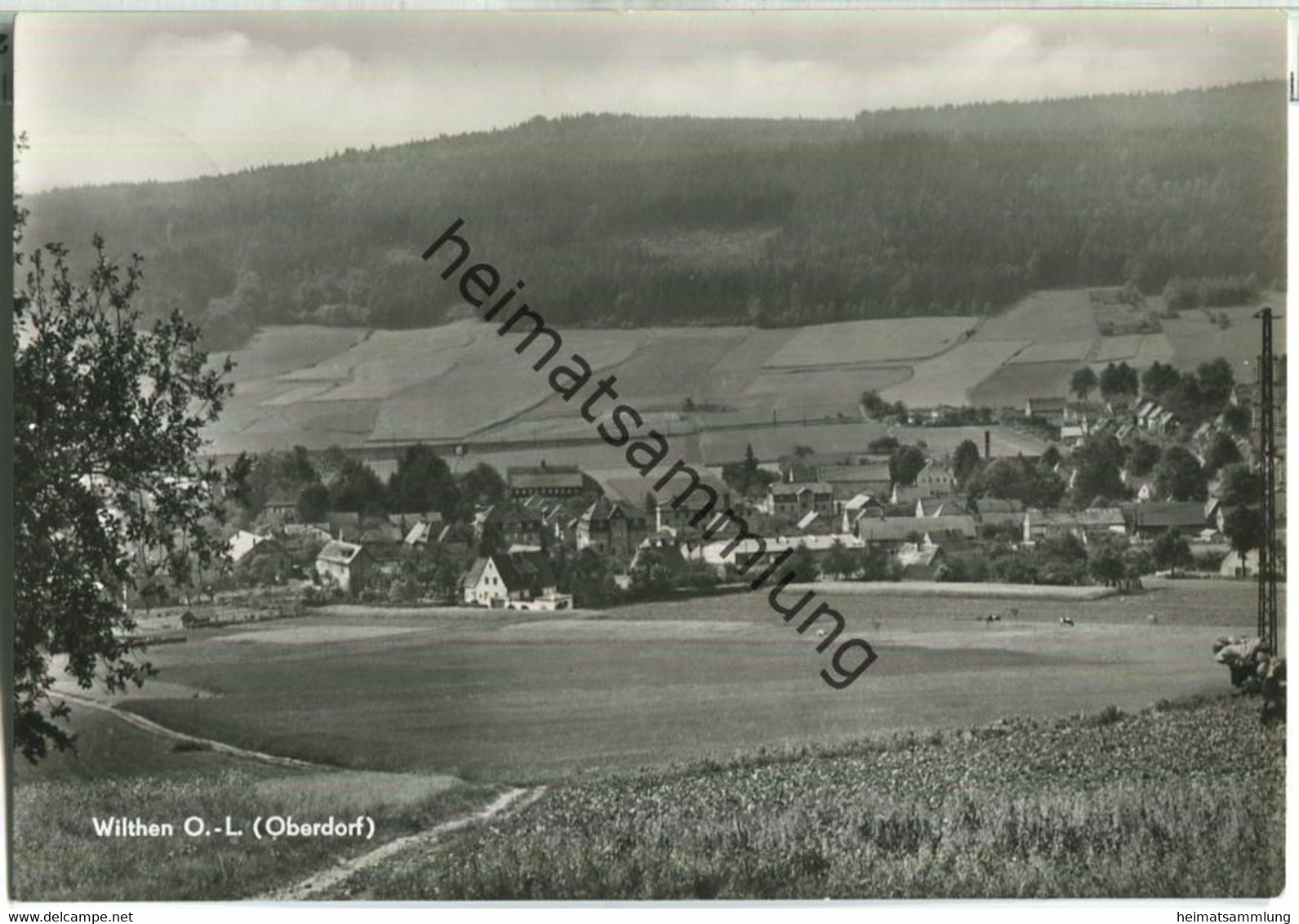 Wilthen - Foto-Ansichtskarte - Verlag Bruno Scholz Ebersbach - Wilthen