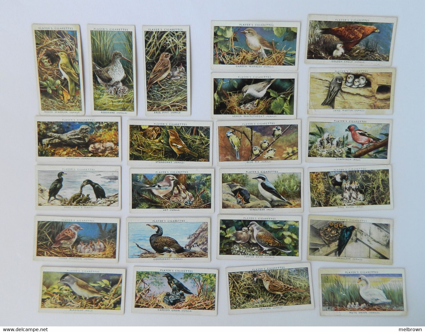 John Player Cigarette Cards - BIRDS & THEIR YOUNG - 23 Different Cards. - Player's