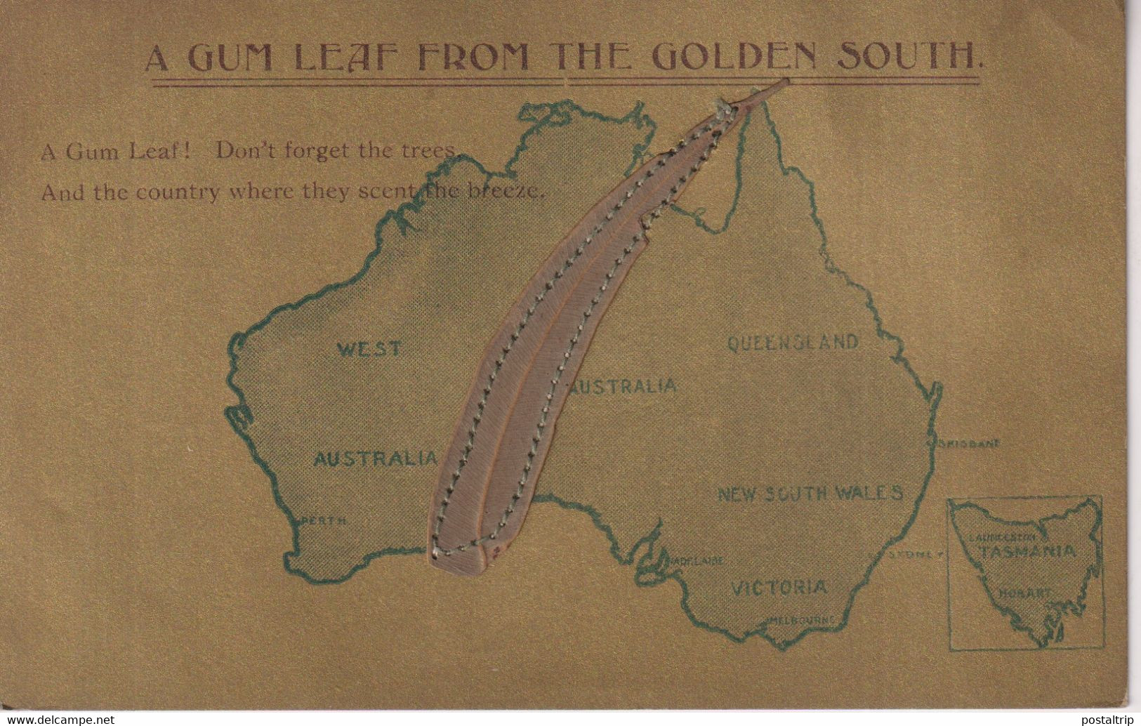 A Gum Leaf From The Golden South By Harding&Billgs's Post Card An Australian Gum Leaf   AUSTRALIA - Altri & Non Classificati
