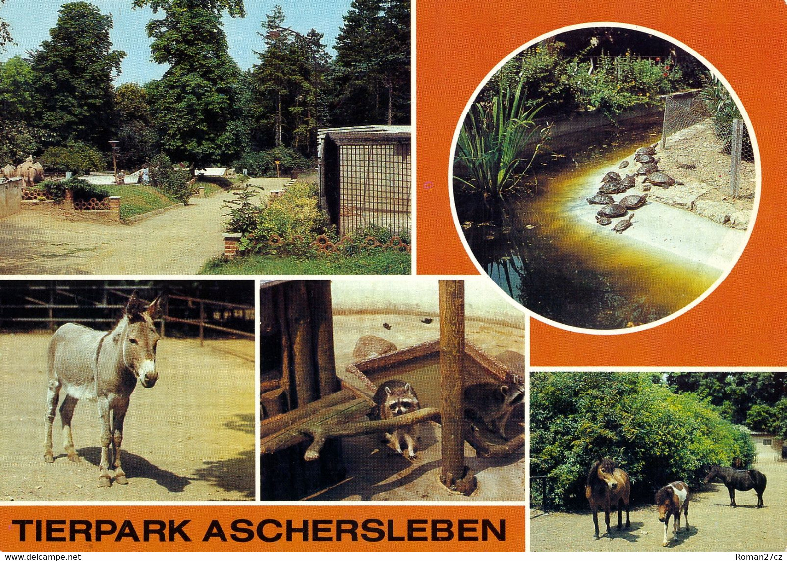 Tierpark Aschersleben, Germany - Donkey, Raccoon, Tortoises, Ponies - Aschersleben
