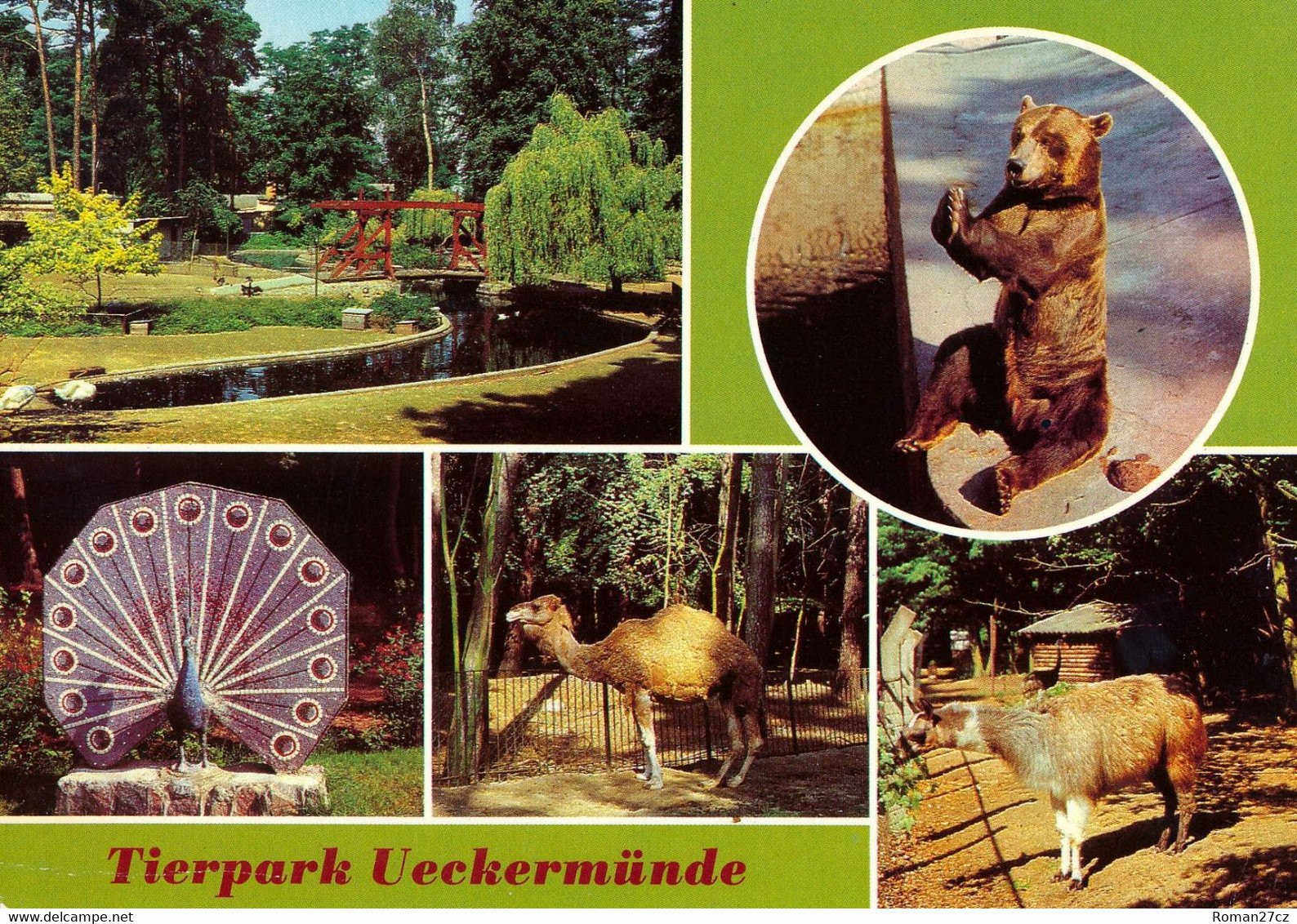 Tierpark Ueckermünde, Germany - Wasserfowl Enclosure, Bear, Peacock Statue, Dromedary, Llama - Ückermünde